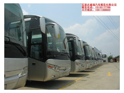 车 型： 大 巴 面议元天